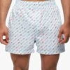 Broad Oar Pattern - Boxershort - Light Pastel Blue -BrooksRunner 76dc0d8c943b4baabc5461dff9411153