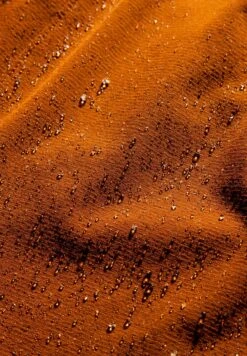 BROOKS High Point 3" 2-In-1 Short - Korte Broeken - Hazelwood Ochre Fuchsia -BrooksRunner abafc621e8234f01b83f7dab366d1e7b